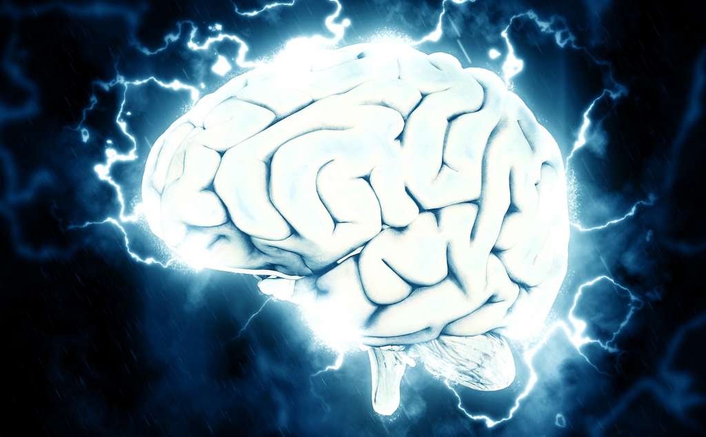 Emotional Intelligence and brain