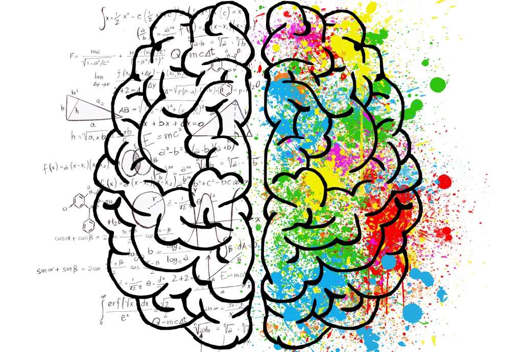 Emotional Intelligence and parts of the brain