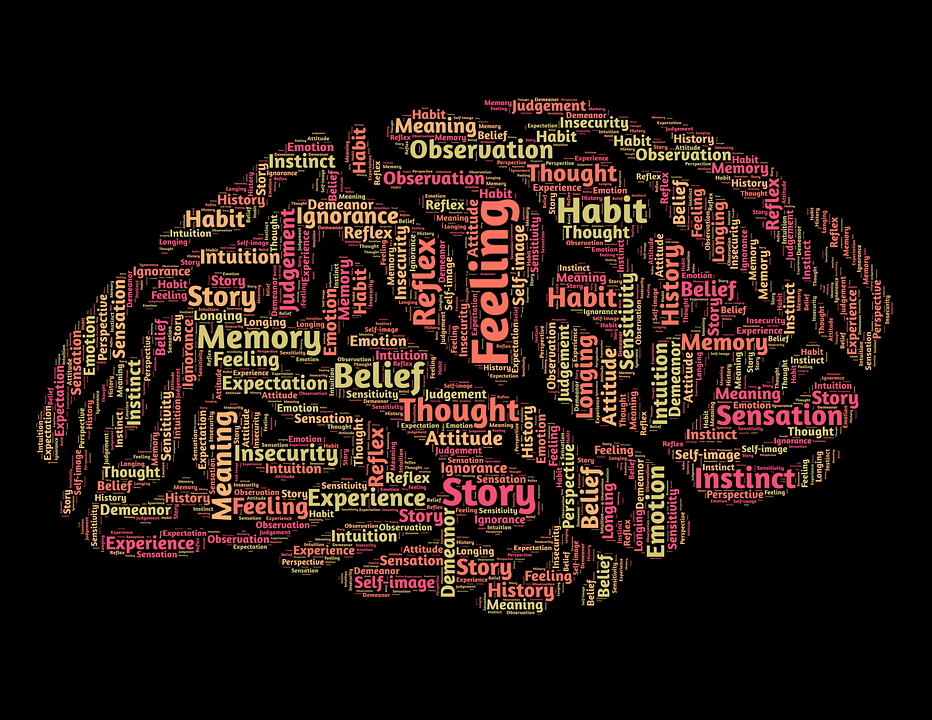 Brain representing Emotional Intelligence