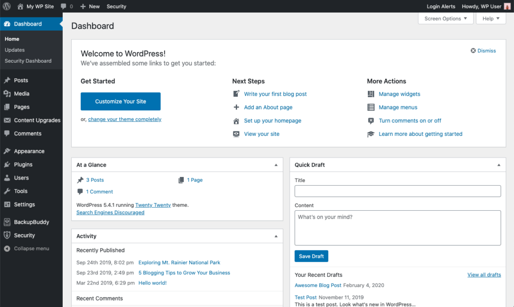 WordPress Dashboard Screenshot content management system platform
